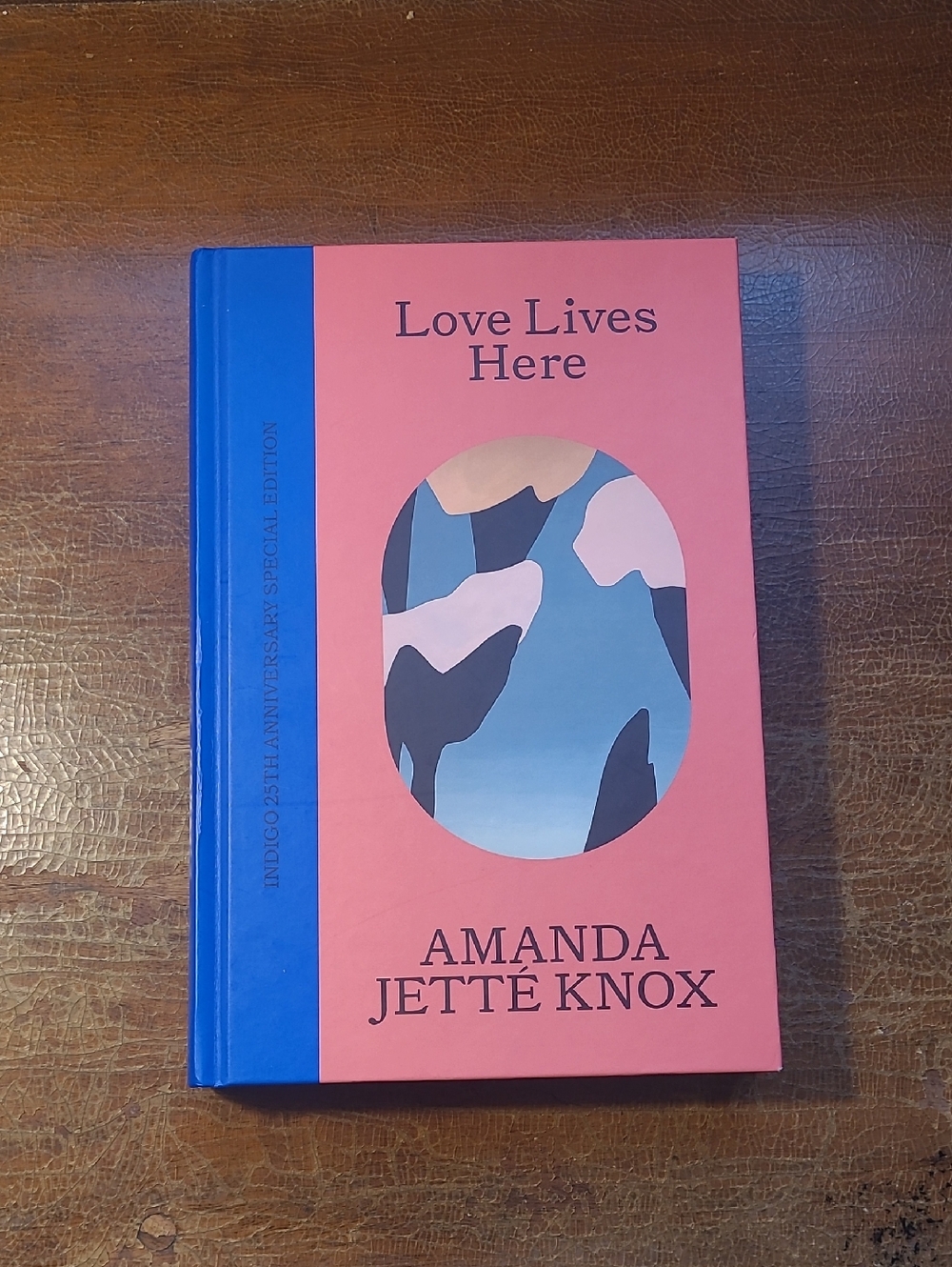 Love Lives Here by Amanda Jetté Knox - Indigo 25th Anniversary Edition